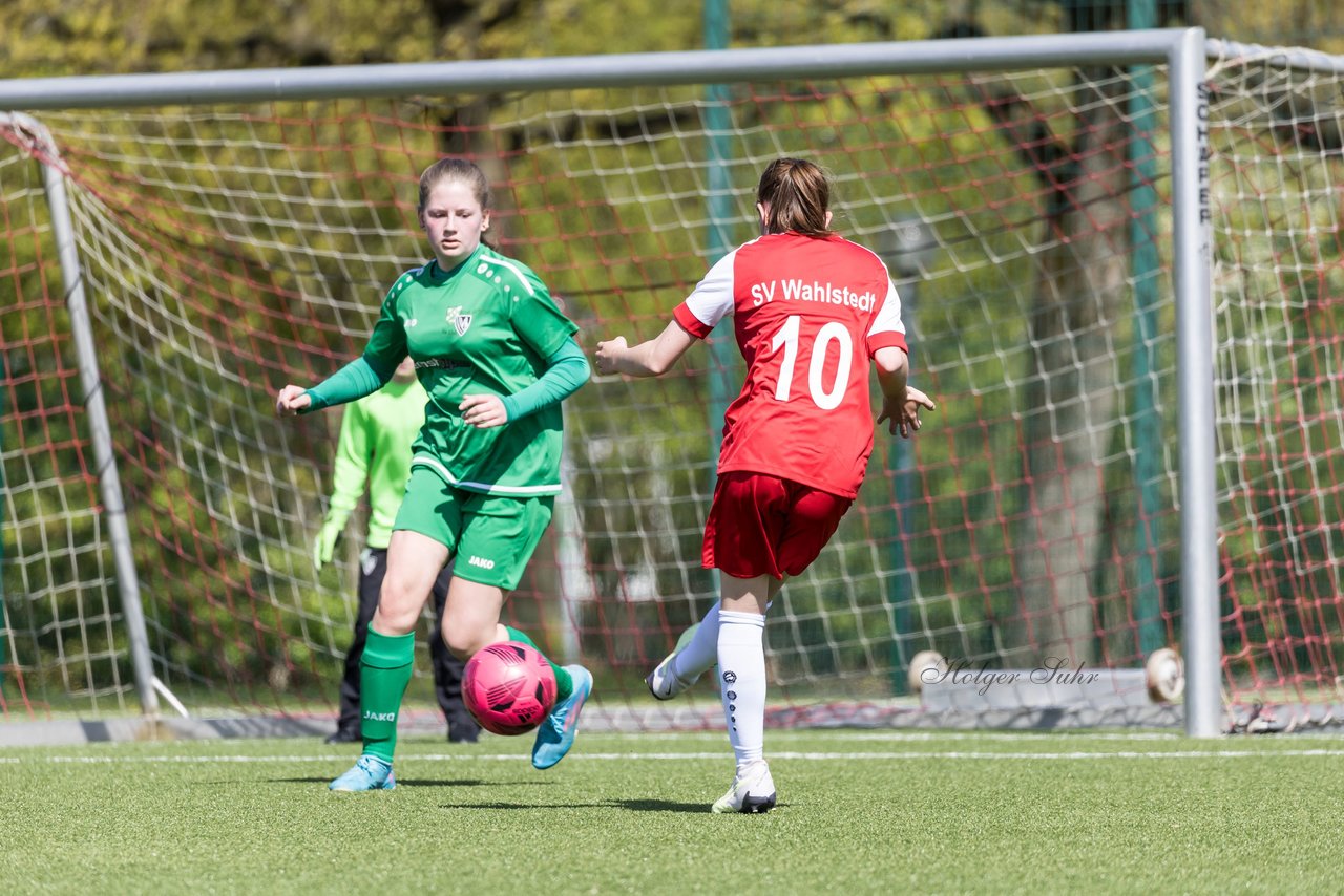 Bild 151 - wBJ SV Wahlstedt - TSV Wentorf-Dandesneben : Ergebnis: 7:1